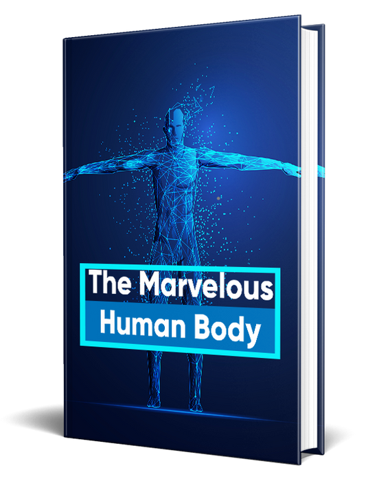 The Marvelous Human Body
