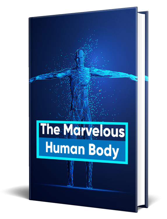 The Marvelous Human Body